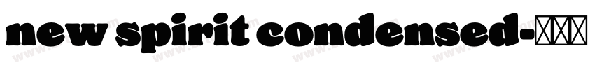new spirit condensed字体转换 new spirit condensed字体转换